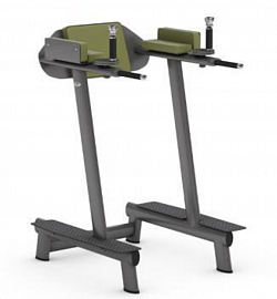 LEG RAISE
