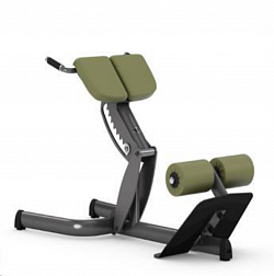 LOWER BACK EXTENSION BENCH