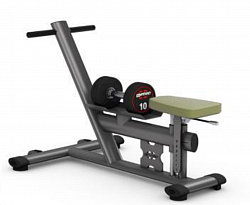 DUMBBELL ROWING SEATED