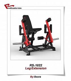 Leg Extension